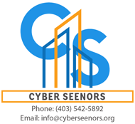 Cyber Seenors